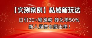 【实测案例】私域新玩法，日引30+精准粉，转化率50%，新人照做也能出单！-网创项目