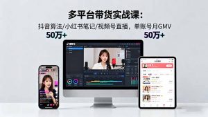 多平台带货实战课18.0：抖音算法/小红书笔记/视频号直播，单账号月GMV50w+-网创项目