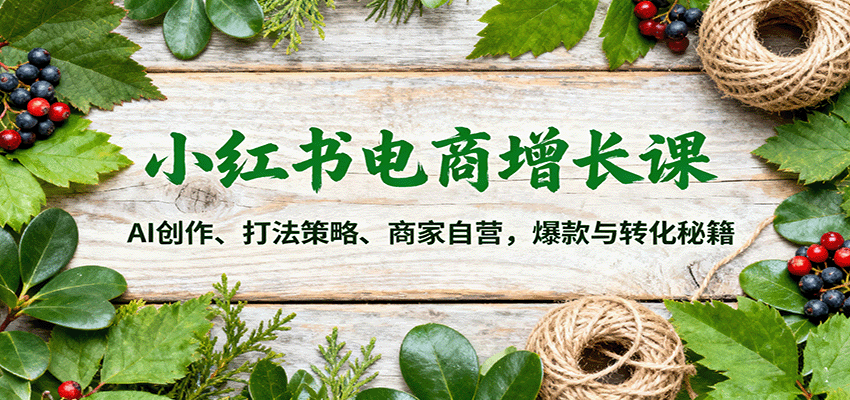 小红书电商增长课：AI创作、打法策略、商家自营，爆款与转化秘籍-网创项目