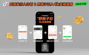 抖音发行人计划全新野路子玩法，随时随地，只要有手机，就能操作，日入1k+【揭秘】-网创项目