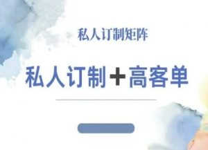 小红书自媒体咨询师IP教程,私人定制+高客单-网创项目