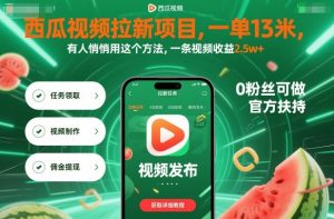 西瓜视频拉新项目,一单13米,有人悄悄用这个方法,一条视频收益2.5w+(附详细教程)-网创项目