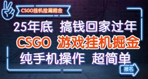 25年底搞钱回家过年，CSGO游戏挂机掘金，纯手机操作超简单-网创项目