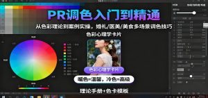 PR调色入门到精通：从色彩理论到案例实操，婚礼/医美/美食多场景调色技巧-网创项目