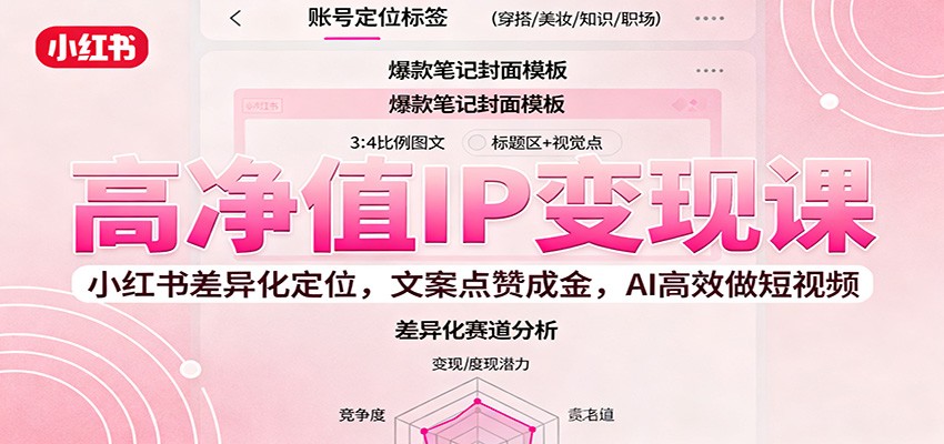 高净值IP变现课：小红书差异化定位，文案点赞成金， AI高效做短视频-网创项目