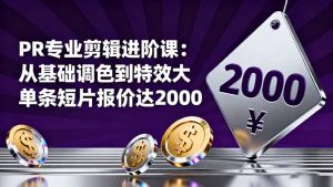 PR专业剪辑进阶课：从基础调色到特效大片的进阶技能，单条短片报价达2000-网创项目