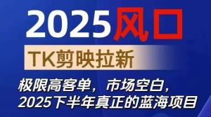 2025风口TK剪映capcut拉新项目,极限高客单,市场空白,2025下半年真正的蓝海项目-网创项目