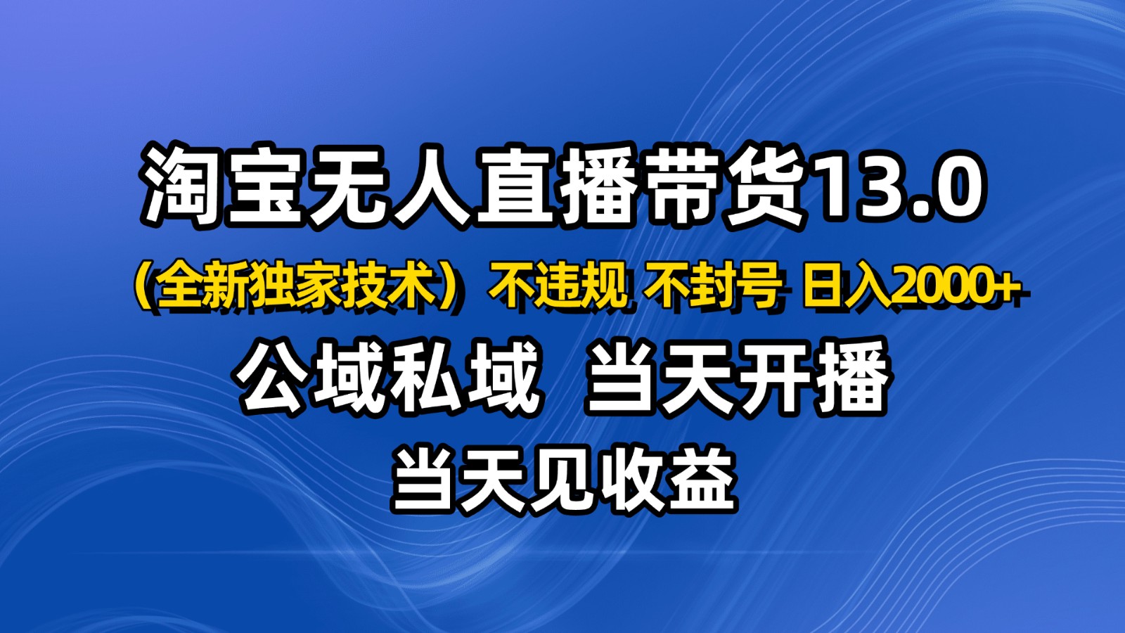 淘宝无人直播13.0，公域私域技术，不封号，不违规 布局下半年旺季赛道，日入2000+-网创项目
