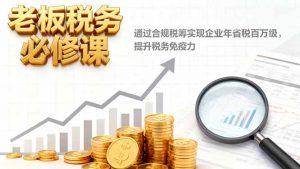 老板税务必修课，通过合规税筹实现企业年省税百万级，提升税务免疫力-网创项目