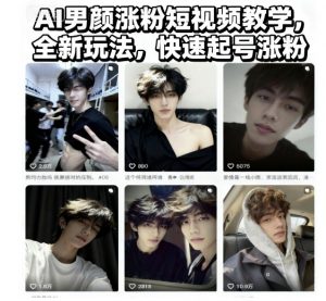AI男颜涨粉短视频教学，全新玩法，快速起号涨粉-网创项目