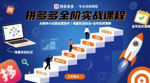 拼多多全阶实战课程，从新手小白到运营高手，海量实战玩法+全年实时更新【2025年10月更新】-网创项目