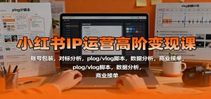 小红书IP运营高阶变现课:账号包装,对标分析,plog/vlog脚本,数据分析,商业接单-网创项目