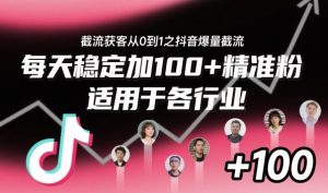 截流获客从0到1之抖音爆量截流,每天稳定加100+精准粉,适用于各行业-网创项目
