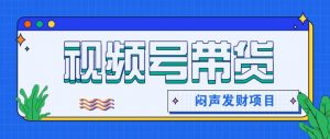 微信视频号带货项目，轻松日赚赚2000+，这个挣钱入口很多伙伴都在闷声发财-网创项目