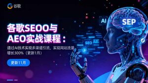 谷歌SEO与AEO实战课程:通过AI技术实现多渠道引流,实现网站流量增长300%-网创项目