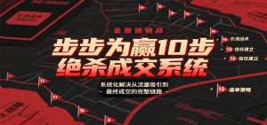 步步为赢10步绝杀成交系统，系统化解决从流量吸引到最终成交的完整链路-网创项目