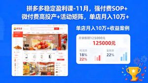 拼多多稳定盈利课-11月，强付费SOP+微付费高投产+活动矩阵，单店月入10万+-网创项目