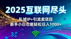 2025网创尽头王炸项目!私域IP+精准引流,新手小白在家躺賺日入1k,零经验也能上手【揭秘】-网创项目