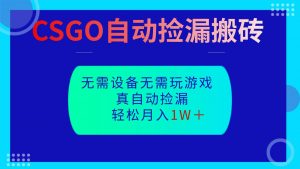 CSGO自动捡漏搬砖，当天操作当天见结果，无需了解游戏，包教包会包落地-网创项目