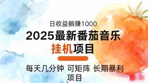 2025年最新番茄音乐人挂机项目，每天几分钟，月入1000＋，可矩阵，一台…-网创项目