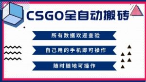 CSGO全自动搬砖，年底钱回家好项目，当天可拿到结果，新手小白轻松月入1W+【揭秘】-网创项目