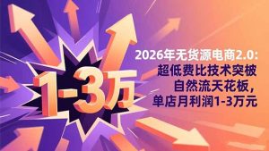 2026年无货源电商2.0：超低费比技术突破自然流天花板，单店月利润1-3万元-网创项目