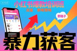 小红书爆款培训班，小红书获客野路子流量打法，暴力持续获客-网创项目