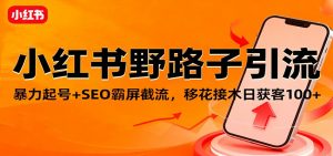 小红书野路子引流,暴力起号+SEO霸屏截流,移花接木日获客100+-网创项目