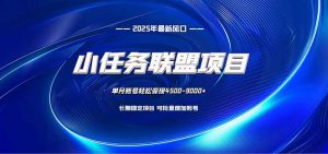 小任务联盟项目:一台电脑每天只需10分钟,轻松简单稳定-网创项目