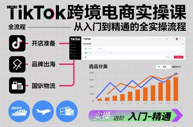 TikTok跨境电商实操课，从入门到精通的全实操流程-网创项目