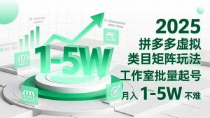 2025 拼多多虚拟类目矩阵玩法,工作室批量起号,月入 1-5W 不难-网创项目