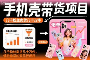 手机壳带货项目，几千粉丝卖货几十万件，短视频低粉卖货的天花板项目-网创项目