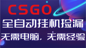 【副业好项目】全球火爆游戏CSGO自动捡漏，新手小白日入500+-网创项目