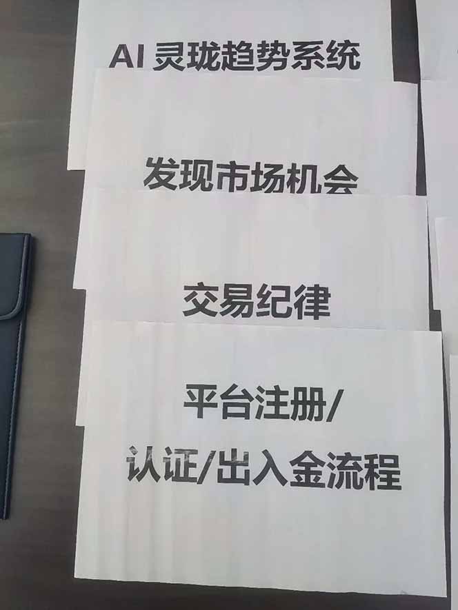 图片[3]-海外美金AI掘金项目，200U可入门槛，一天一单即可，每天1000-2000很轻松！-网创项目