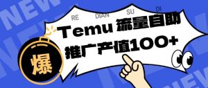 专注于Temu商家提供精准曝光浏览量，助力店铺排名提升和转化，单机日收入80-130【揭秘】-网创项目