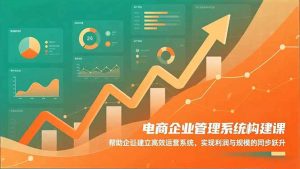 电商企业管理系统构建课：帮助企业建立高效运营系统，实现利润与规模的同步跃升-网创项目