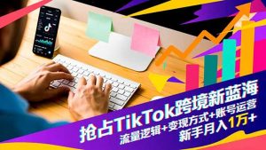 抢占TikTok跨境新蓝海：流量逻辑+变现方式+账号运营，新手月入1万+-网创项目