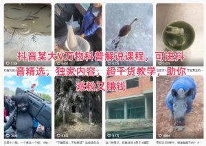 抖音某大V万物科普解说课程，可进抖音精选，独家内容，超干货教学，助你涨粉又賺钱-网创项目