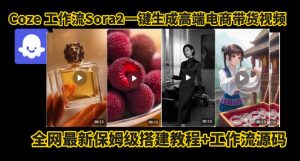 coze智能体sora2一键生成电商带货高端视频工作流保姆级拆解教程,无需剪辑,无需拍摄-网创项目