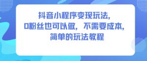 抖音小程序变现玩法,0粉丝也可以做,不需要成本,简单的玩法教程-网创项目