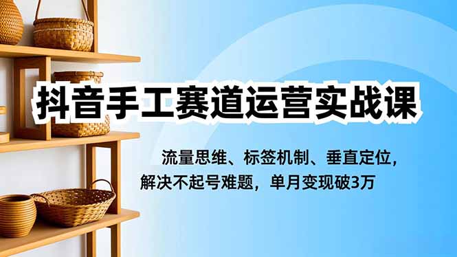 抖音手工赛道运营实战课，流量思维、标签机制、垂直定位，解决不起号难题，单月变现破3万-网创项目