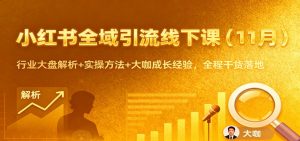 小红书全域引流线下课(11月)：行业大盘解析+实操方法+大咖成长经验，全程干货落地-网创项目