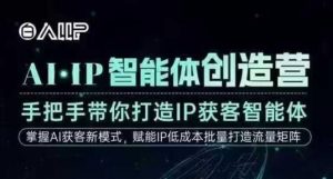 AI·IP智能体创造营，手把手带你打造IP获客智能体，高成交创始人IP课-网创项目