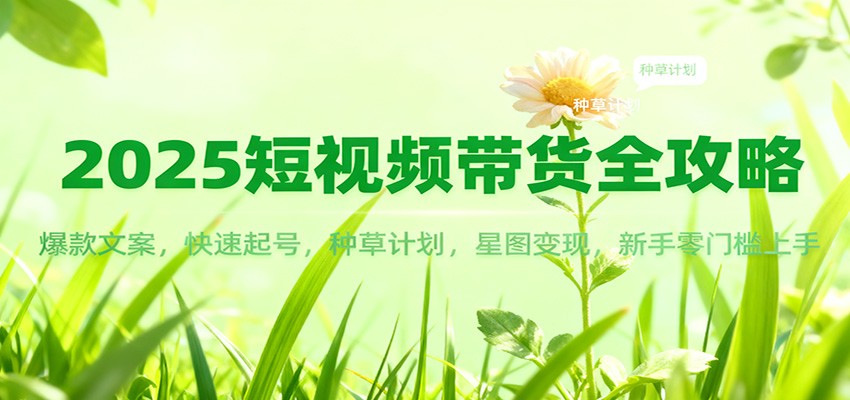 2025短视频带货全攻略：爆款文案，快速起号，种草计划，星图变现，新手零门槛上手-网创项目