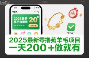 2025最新零撸薅羊毛项目，纯手机操作，20秒一单，无任何门槛，一天200+做就有【揭秘】-网创项目