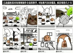 卤蛋哈基米短视频制作全流程教学，条条爆款，疯狂吸粉几十万-网创项目