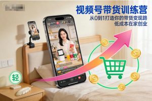 视频号带货训练营，从0到1打造你的带货变现路，低成本在家创业-网创项目