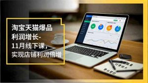 淘宝天猫爆品利润增长-11月线下课,免费流量、付费放大、费比管控,实现店铺利润倍增-网创项目