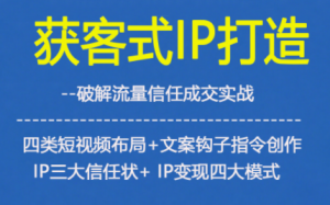 获客型IP打造,破解流量信任成,四类短视频布局+文案钩子指令创作IP三大信任状+IP变现四大模式-网创项目