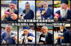 用AI复刻暴躁老道语录视频,21条作品涨粉8.8W,保姆级Sora2制作教学-网创项目